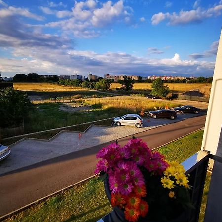 Teo Apartment Брашов Экстерьер фото