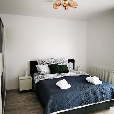 Teo Apartment Брашов Экстерьер фото