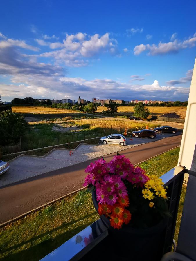 Teo Apartment Брашов Экстерьер фото