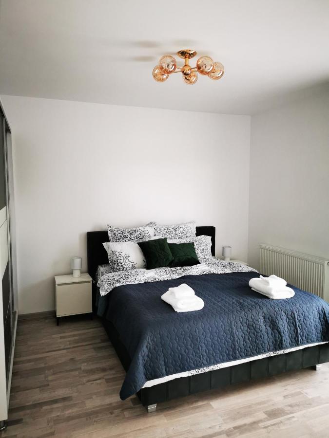 Teo Apartment Брашов Экстерьер фото